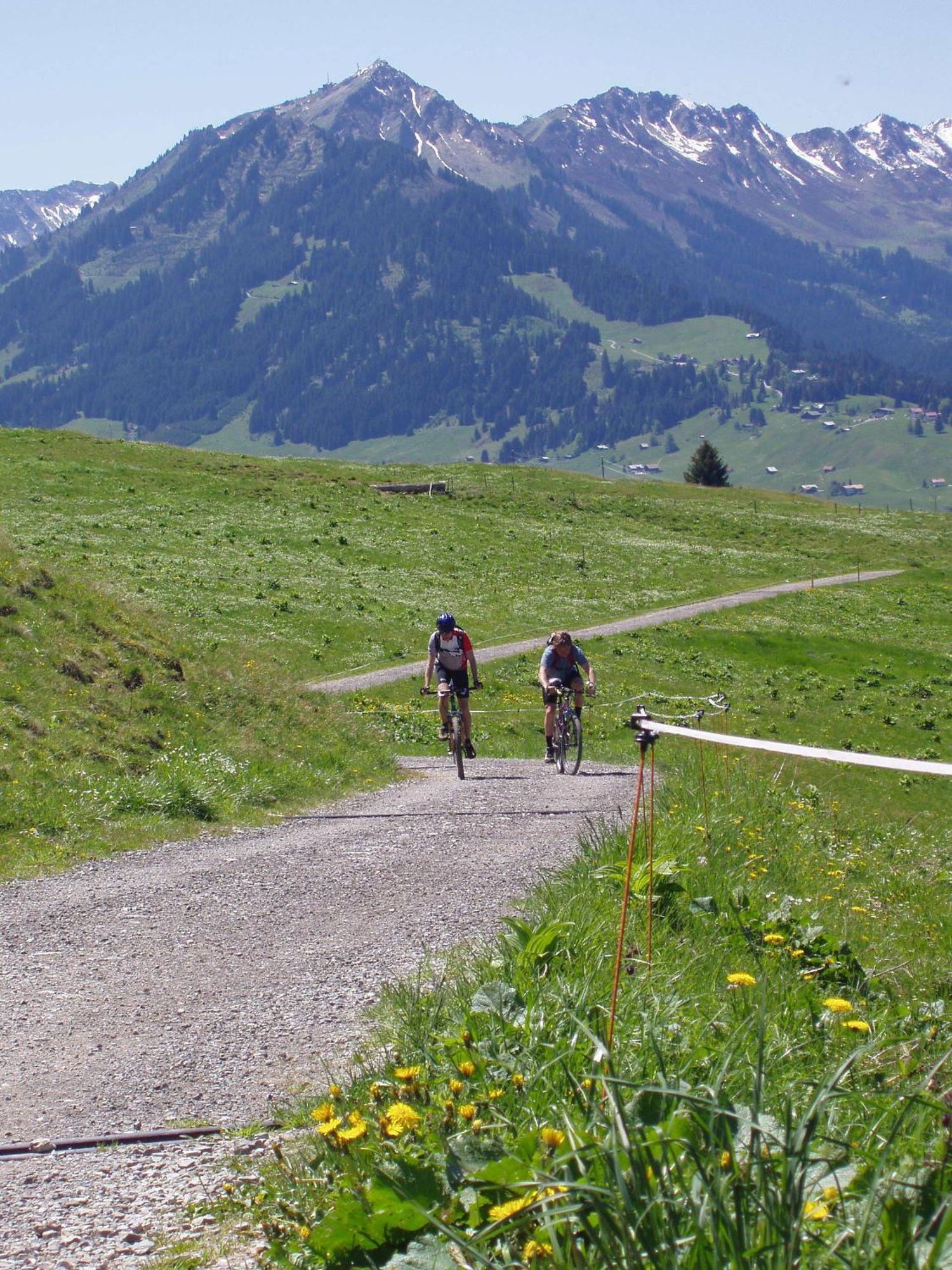 Gaestehaus Zur Faerbe Apartments Oberstdorf Kültér fotó